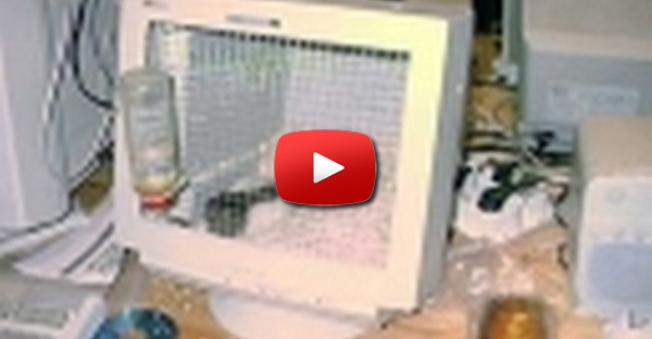 Monitor Casota